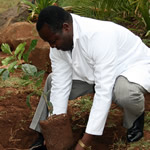 Vice Chancellor Engineer Quinton Kanhukamwe Planting a Red Mahogany Tree on Campus during the 2012 Tree Planting Week in December