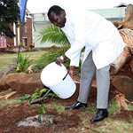 Vice Chancellor Engineer Quinton Kanhukamwe Planting a Red Mahogany Tree on Campus during the 2012 Tree Planting Week in December